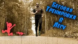 Интервальный Бег - Беговая тренировка в лесу