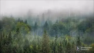 Big Thunder & Rain Sounds | Storm White Noise | Sleep, Study, Relax#rain #justrelax