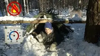Overnight in the winter in the woods with no gear. 24 hours in the woods.