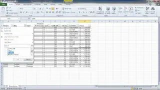 Microsoft Excel 2010: Apply a Simple Filter