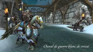 Elite monture wow Cheval de guerre blanc de croisé