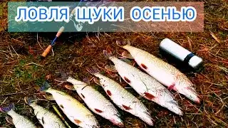 ЛОВЛЯ ЩУКИ ОСЕНЬЮ