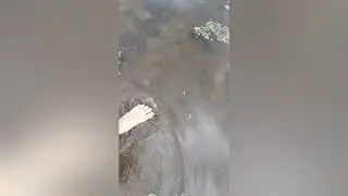 minha rotina da manhã