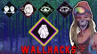 THE WALLHACKS BUILD