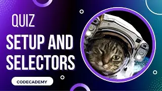 Quiz CSS Setup and Selectors | Day 20 Codecademy