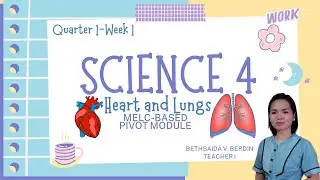Heart and Lungs