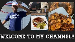 WELCOME TO MY CHANNEL + A VLOG!