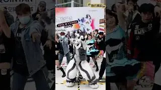 K-pop in public BLACKPINK ‘Pink Venom’ Gintan