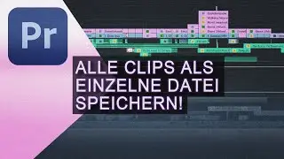 Premiere Pro - Alle Clips als Dateien rendern und speichern (3K)