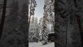 Видео для души. Зимняя сказка. Волшебная музыка. 