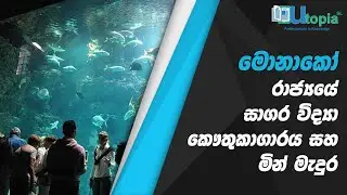 මොනාකෝ රාජ්‍යයේ සාගර විද්‍යා කෞතුකාගාරය සහ මින් මැදුර