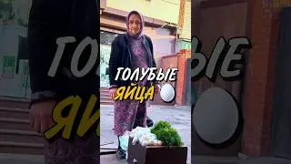 ГОЛУБЫЕ ЯЙЦА? 🥚😱  ВИДЕЛИ ТАКИЕ?