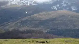 CONTRAPASA EN NAVARRA 2014/ PALOMBE FEVRIER-MARS 2014