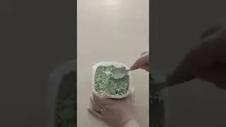 Сало #сало