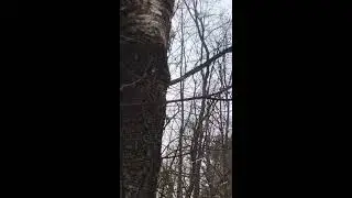 Весна. Дзен. Наедине с природой