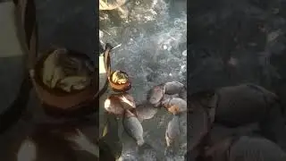на Благодатке