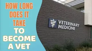 How long does it take to become a Vet?
