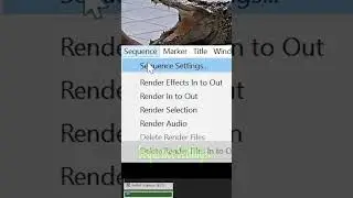 Transform Any Video Into a Short (9:16) 👍 a Pr😊 // Adobe Premiere #shorts