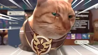 Recollection of petting cats in genshin