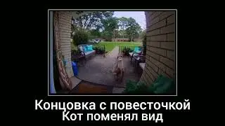 кот мяукает в домофон все концовки