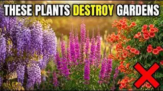 9 Beautiful Perennials I'd NEVER Plant Again After 40 Years of Gardening