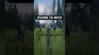 Reviewing The Nokota 