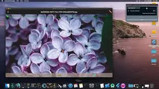 Flutter Dart - Animation with Matrix4 Transform