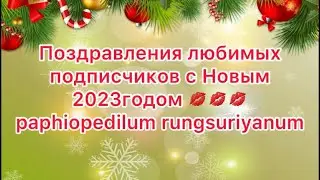 Поздравление с Новым годом подписчиков 🥂🥂#paphiopedilum rungsuriyanum #орхидеи