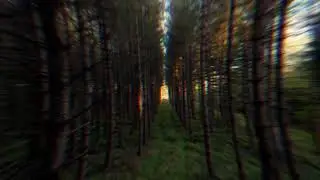 Mavic Air 2s Through the Trees