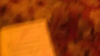 Супер-мишка 💗 древесный мустанг (1 часть)
