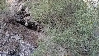 водопад возле Аю-Сай