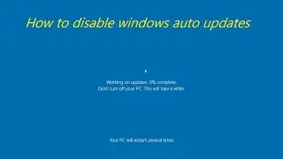 HOW TO DISABLE WINDOWS AUTO UPDATES