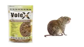 VoleX