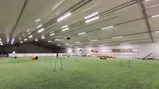 Kowalski hoopers joulukuu 2023