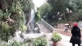 Коулун парк в Гонконге.Парк. Kowloon park.