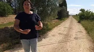 Erika Ciapelli Shows us around her Vineyards