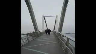 КИЇВ,міст Хвиля 