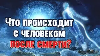 What Happens to a Person After Death? | Rabbi Michael Finkel