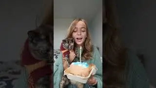 Не давайте кошкам торт…с днем рождения меня🤞🏻 26!