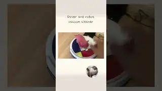 カワウソさくら 夏の自由研究！VANiGOロボット掃除機と戯れる Otter and robot vacuum cleaner