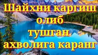 #Фозил_кори Каргиш олган Шайхни ахволи