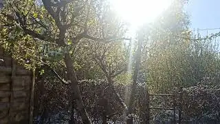 Капель. Майский снег тает!...