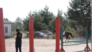 Каприоль, жер, 2010 продам лошадь
