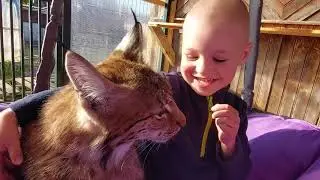 Ребёнок в гостях у Рыси/Чудесный гамак