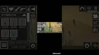 melon vs cactus