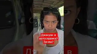 crocodile in the bath