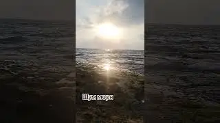 #шумморя #shorts