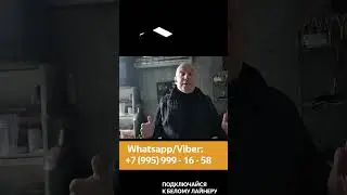 Самозанятость или парковая СМЗ? Вот в чем вопрос  