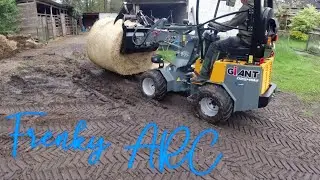 Giant D254SW Ersteinsatz