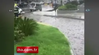 Yol çöktü  Devasa çukur araç ve ağaçları yuttu!